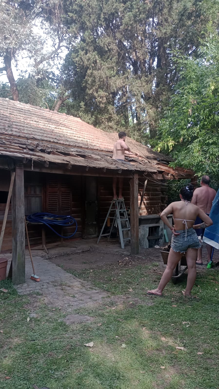 WhatsApp Image 2024-11-24 at 17.16.11.jpeg